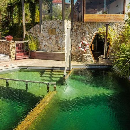Arelho Cavalo De Madeira Bed & Breakfast エクステリア 写真