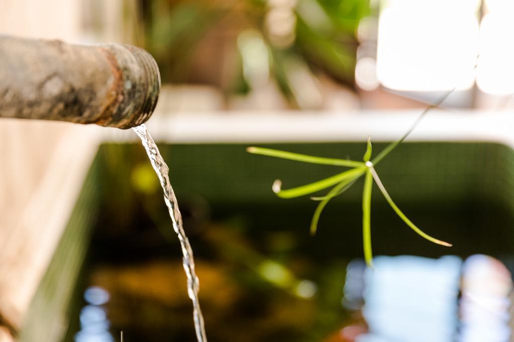 Arelho Cavalo De Madeira Bed & Breakfast エクステリア 写真